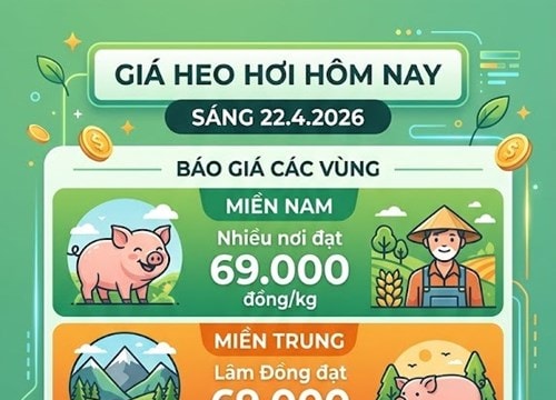 Giá heo hơi ngày 22.4: Thị trường đi ngang, khu vực miền Nam và Lâm Đồng giữ mốc 69.000 đồng/kg
