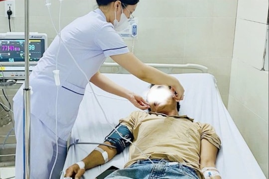 Cẩn trọng với độc tố “vô hình” trong cá chình biển