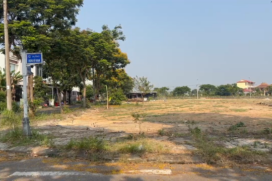 Đà Nẵng tiếp tục đấu giá thành công 30 lô đất ở, thu thêm 311 tỷ đồng