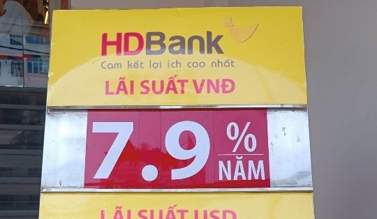 Lãi suất HDBank giảm đồng loạt 0,5 điểm phần trăm, cao nhất còn 7,6%/năm