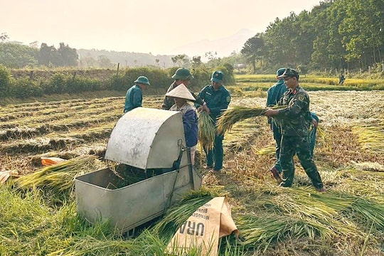 Hành động nhỏ, nghĩa tình lớn