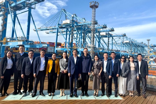 Đoàn công tác thành phố Đà Nẵng khảo sát khu thương mại tự do tại Trung Quốc