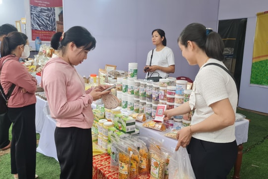 Xã Sơn Cẩm Hà khai mạc gian hàng trưng bày sản phẩm nhà nông