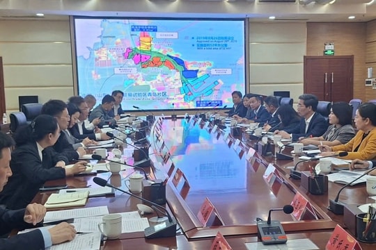 Da Nang officials survey free trade zone model in China