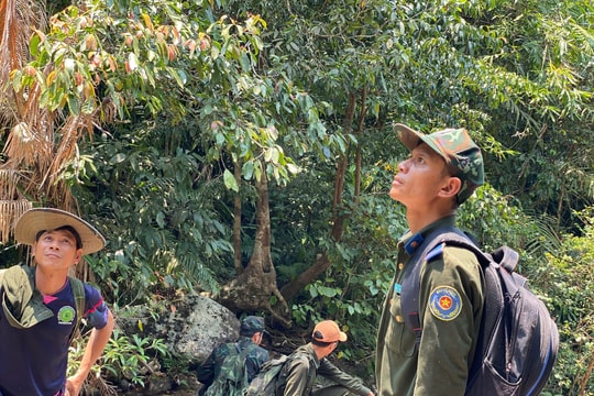 Kiểm soát cháy rừng mùa nắng