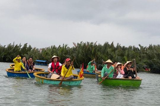 Khai mở tuyến tham quan rừng dừa Cẩm Thanh theo hướng "tĩnh" hơn