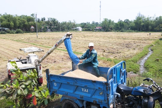 Hướng tới mô hình tích hợp đa giá trị