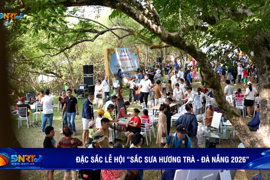 Đặc sắc không gian lễ hội “Sắc Sưa Hương Trà - Đà Nẵng 2026”