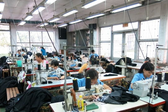 Dệt may Việt Nam vượt Trung Quốc tại thị trường Mỹ, chuyển mạnh sang chuỗi giá trị FOB