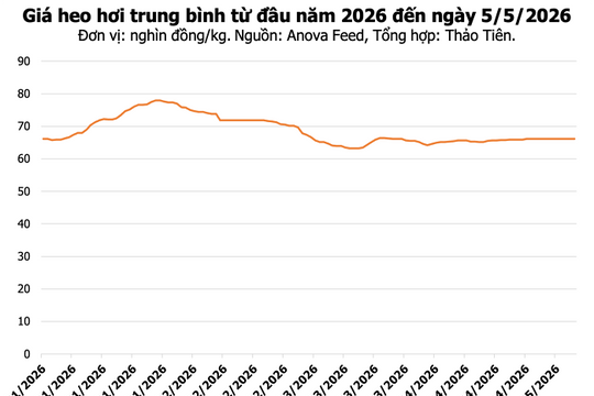 Giá heo hơi hôm nay 5/5: Đồng Nai đạt 70.000 đồng/kg, miền Bắc tăng nhẹ