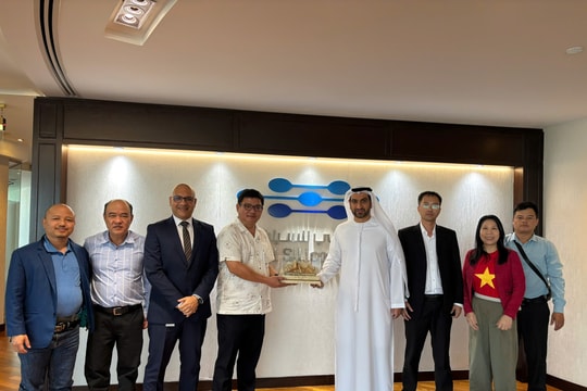 Từ ốc đảo Dubai Silicon Oasis nghĩ về giấc mơ Đà Nẵng