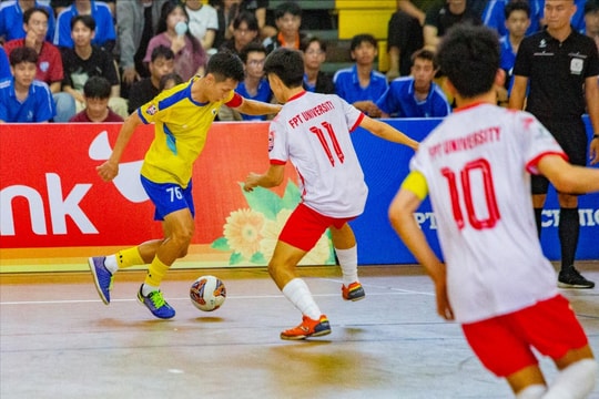 Khởi tranh giải Futsal sinh viên 2026 khu vực Đà Nẵng