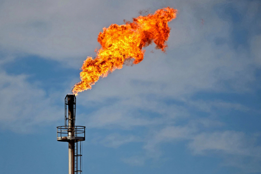 Giá gas hôm nay 8/5/2026: PV GAS đắt hơn Petrolimex 117.081 đồng