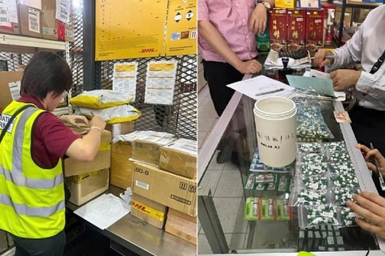 Interpol truy quét đường dây thuốc giả quy mô lớn