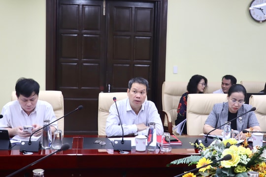 Khẩn trương hoàn thiện công tác chuẩn bị Liên hoan phim châu Á Đà Nẵng lần thứ 4