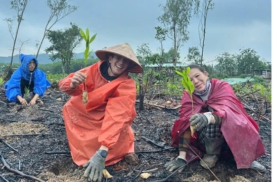 More foreign travelers choose workaway in Vietnam