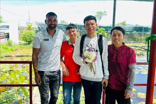 Phát triển kinh tế từ hoa súng
