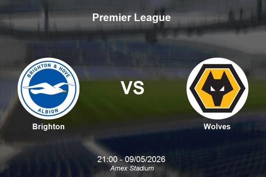 Nhận định Brighton vs Wolves - Premier League: Cơ hội bứt phá của Chim mòng biển