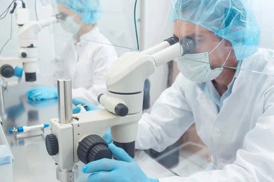 Các nhà khoa học gấp rút phát triển vắc xin phòng vi rút Hanta