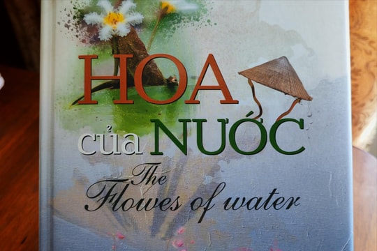 Những bông hoa nhắc nhở tri ân