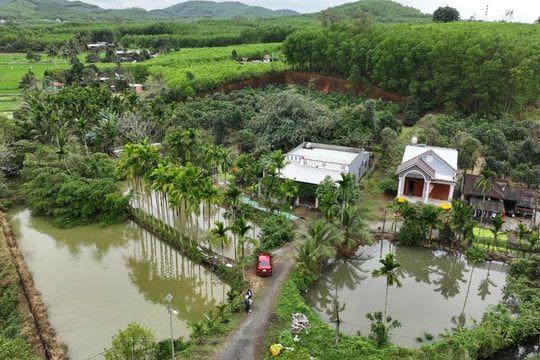 Khơi dậy tiềm năng kinh tế vườn