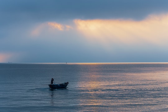 Những bình minh rộn ràng tiếng sóng