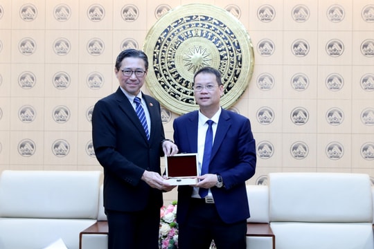 Chủ tịch UBND thành phố Nguyễn Mạnh Hùng tiếp Tổng Lãnh sự Nhật Bản tại Đà Nẵng