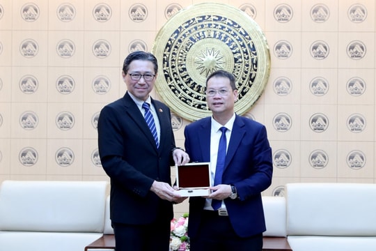 Da Nang Chairman receives Japanese Consul General in Da Nang