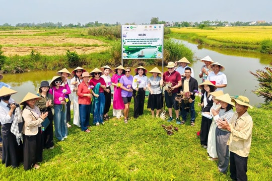 Đại học Đà Nẵng: Nghiên cứu khoa học gắn thực tiễn địa phương