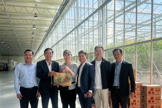 Hiệu quả đưa người lao động đi làm việc ở nước ngoài