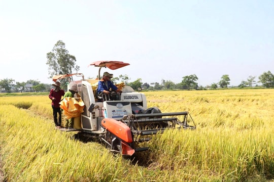 Thúc đẩy phát triển bảo hiểm nông nghiệp