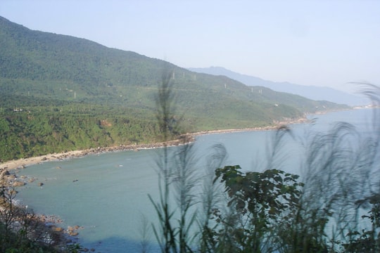 Bóng ân nhân ven đường
