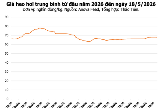 Giá heo hơi hôm nay 18/5: Đồng Nai giảm còn 70.000 đồng/kg, thị trường đi ngang