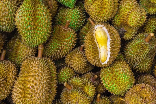 Giá sầu riêng hôm nay 19/5/2026: Xuất khẩu quý I tăng 230%