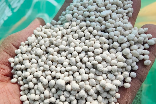 Giá phân bón hôm nay 19/5/2026: Lân Lâm Thao rẻ nhất 305.000 đồng