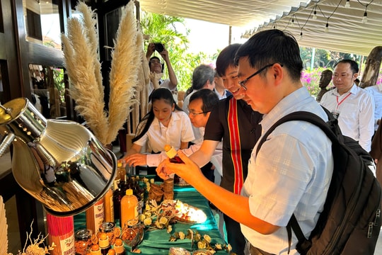 Tư duy mở nâng tầm giá trị quế Trà My