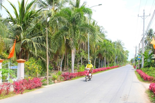 Hoàn thành phương án tổng thể sắp xếp, tổ chức lại thôn, tổ dân phố trước ngày 10/6/2026