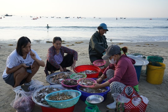Experience Da Nang’s seafood: From beachside squid noodles to coastal specialties