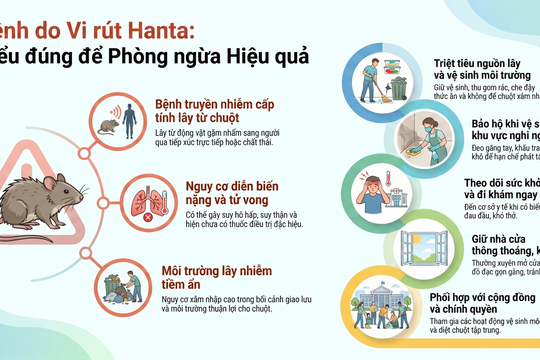 Chủ động giám sát, phòng chống bệnh do vi rút Hanta