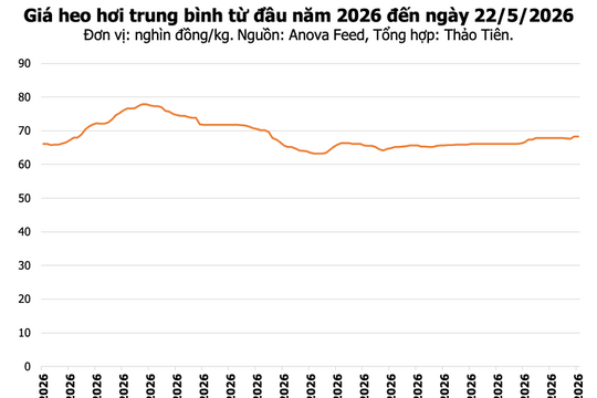 Giá heo hơi ngày 22/5: Thị trường ổn định, mức cao nhất đạt 70.000 đồng/kg