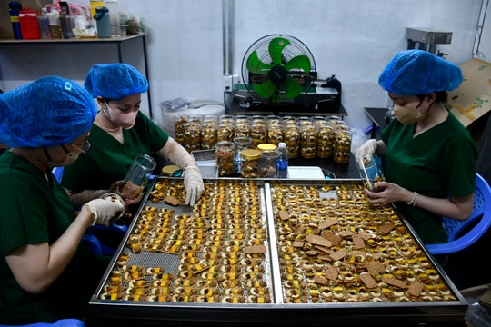 Phụ nữ chung sức phát triển nông sản sạch