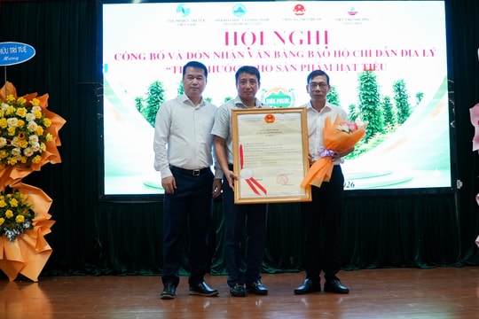 Đà Nẵng: Hạt tiêu Tiên Phước nhận văn bằng bảo hộ chỉ dẫn địa lý