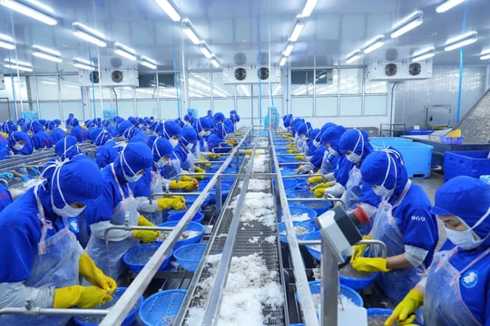 Maintaining growth, expanding export markets