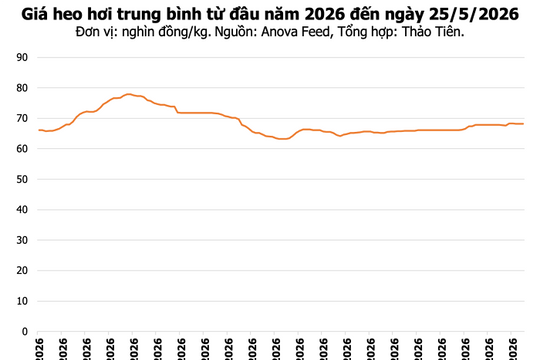 Giá heo hơi hôm nay 25/5: Thị trường đi ngang, dao động 67.000 - 70.000 đồng/kg