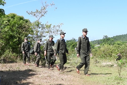 Giữ rừng mùa nắng nóng