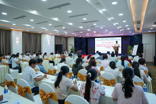 Đà Nẵng tập huấn nghiệp vụ quản lý nhà nước về bảo vệ môi trường năm 2026