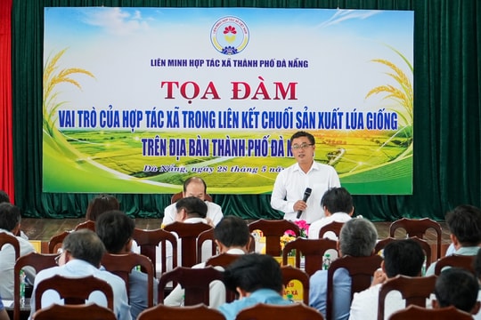 Nâng cao vai trò của hợp tác xã trong liên kết chuỗi sản xuất lúa giống tại Đà Nẵng