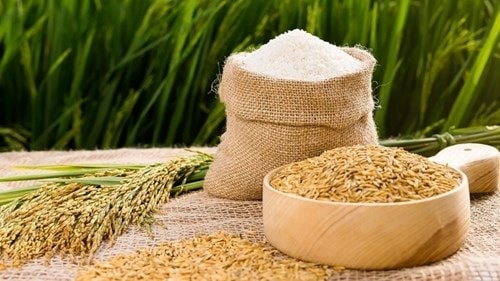 Thị trường lúa gạo ngày 29/5: Giá lúa neo cao, xuất khẩu gạo Ấn Độ sụt giảm