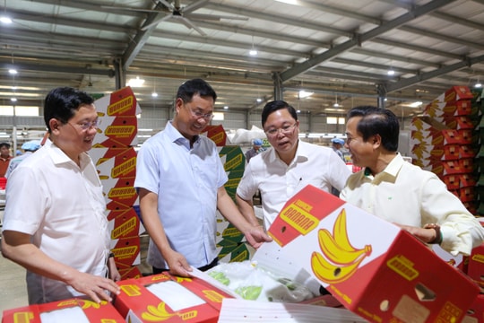 Khát vọng từ Hành lang kinh tế Đông - Tây