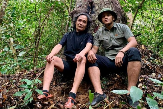 Tìm lại linh hồn của ngàn xanh
